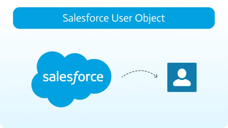 Understanding The Salesforce User Object | Noca