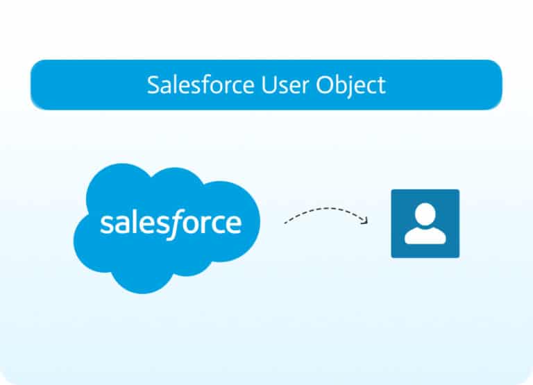 Understanding The Salesforce User Object | Noca