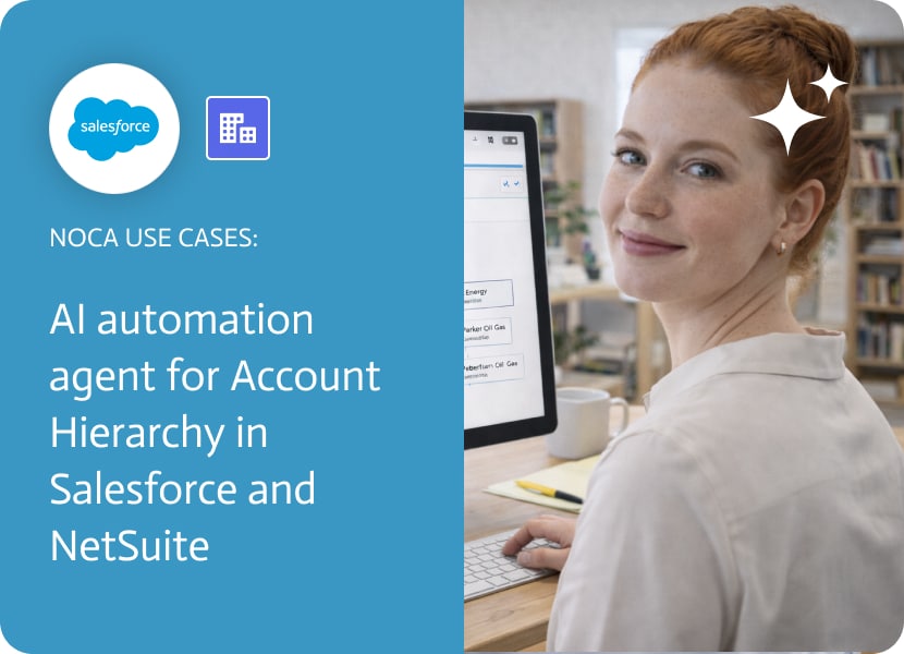 AI Automation Agent for Account Hierarchy in Salesforce and Netsuite - Noca