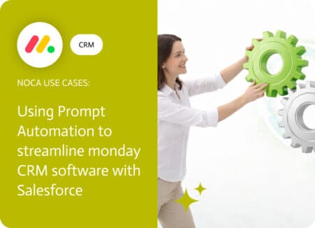 Noca | AI Automation for monday CRM Software with Salesforce