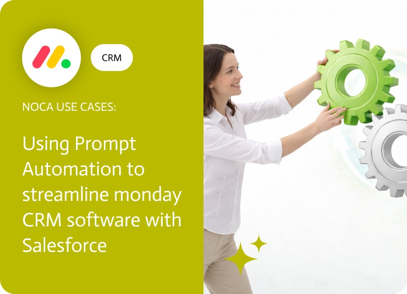 AI Automation for monday CRM Software with Salesforce - Noca