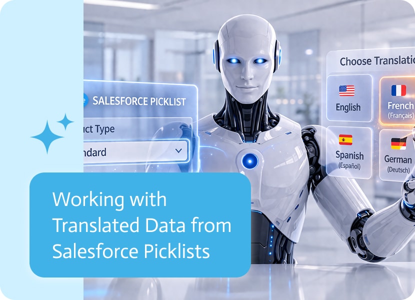 Noca | Working with Translated Data from Salesforce Picklists