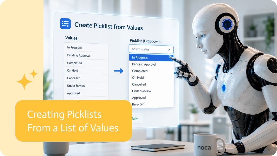 Noca | Creating Picklists From a List of Values