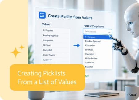 Noca | Creating Picklists From a List of Values