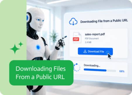 Noca | Downloading Files From a Public URL