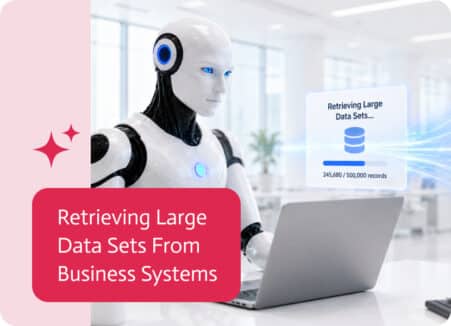 Noca | Retrieving Large Data Sets From Business Systems