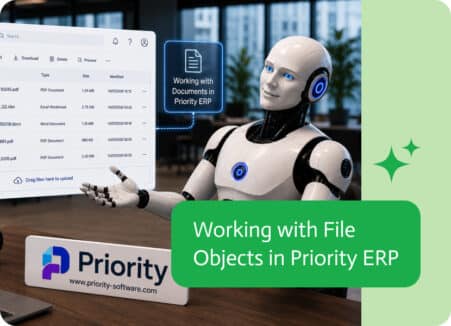 Noca | Working with File Objects in Priority ERP